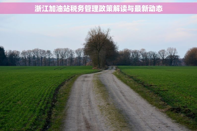 浙江加油站税务管理政策解读与最新动态
