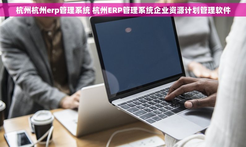 杭州杭州erp管理系统 杭州ERP管理系统企业资源计划管理软件