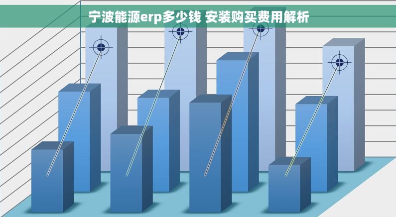 宁波能源erp多少钱 安装购买费用解析