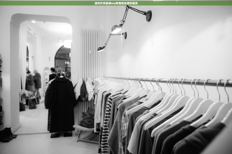 温州外贸服装erp有哪些品牌好服务