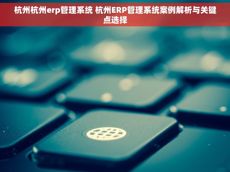 杭州杭州erp管理系统 杭州ERP管理系统案例解析与关键点选择