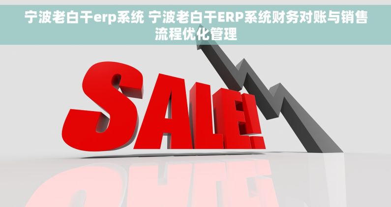 宁波老白干erp系统 宁波老白干ERP系统财务对账与销售流程优化管理