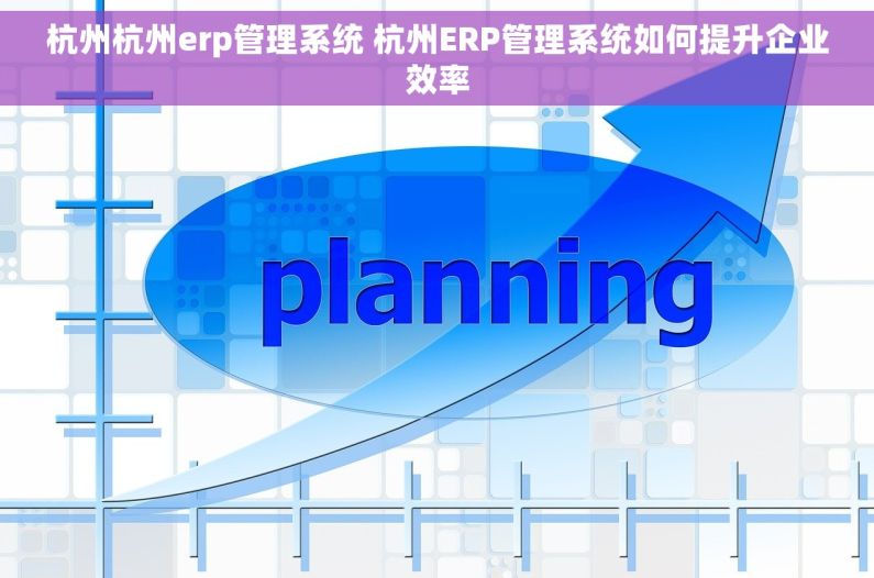 杭州杭州erp管理系统 杭州ERP管理系统如何提升企业效率
