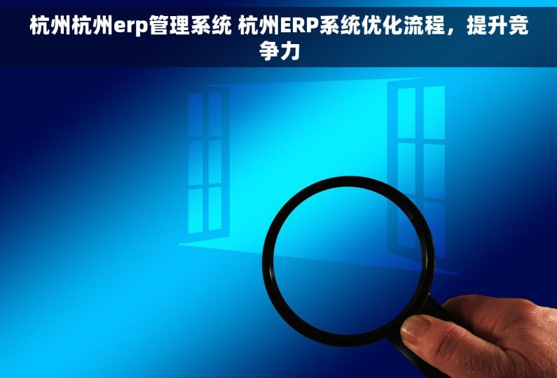 杭州杭州erp管理系统 杭州ERP系统优化流程，提升竞争力