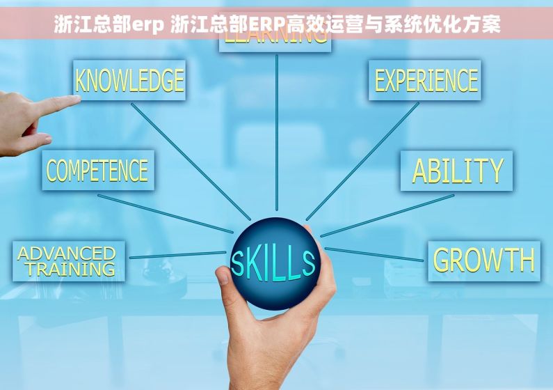 浙江总部erp 浙江总部ERP高效运营与系统优化方案