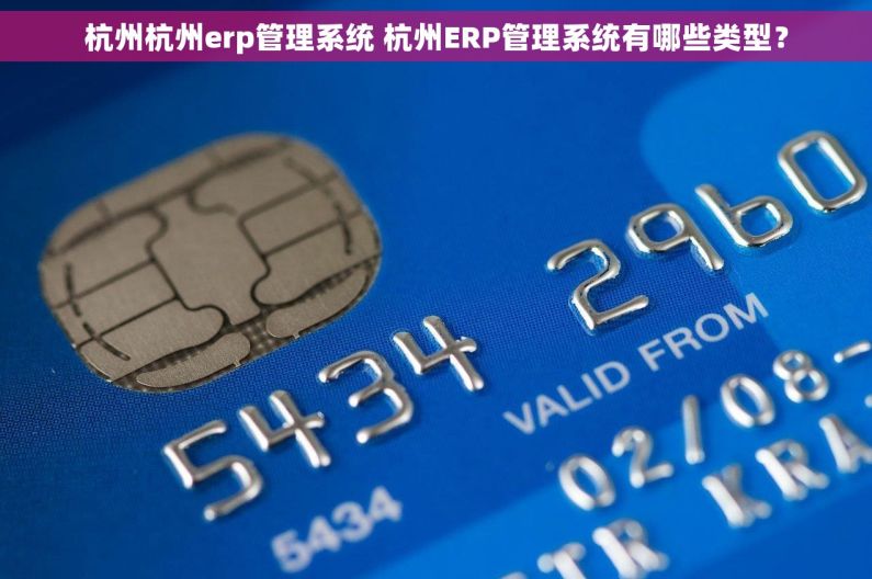 杭州杭州erp管理系统 杭州ERP管理系统有哪些类型？