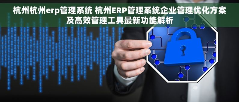杭州杭州erp管理系统 杭州ERP管理系统企业管理优化方案及高效管理工具最新功能解析