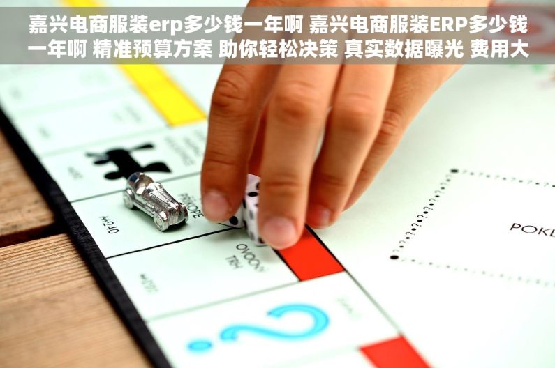 嘉兴电商服装erp多少钱一年啊 嘉兴电商服装ERP多少钱一年啊 精准预算方案 助你轻松决策 真实数据曝光 费用大公开
