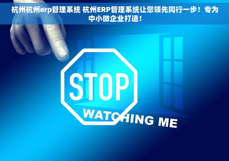 杭州杭州erp管理系统 杭州ERP管理系统让您领先同行一步！专为中小微企业打造！