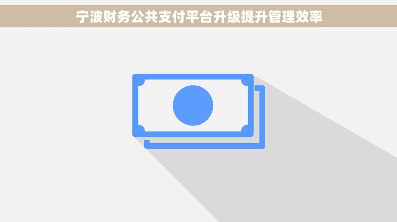 宁波财务公共支付平台升级提升管理效率