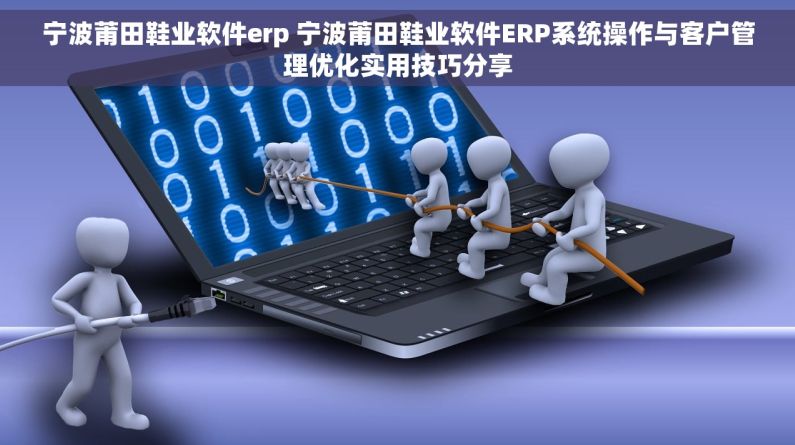 宁波莆田鞋业软件erp 宁波莆田鞋业软件ERP系统操作与客户管理优化实用技巧分享