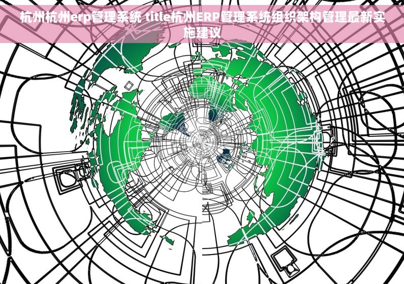 杭州杭州erp管理系统 title杭州ERP管理系统组织架构管理最新实施建议
