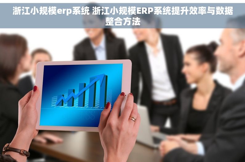 浙江小规模erp系统 浙江小规模ERP系统提升效率与数据整合方法