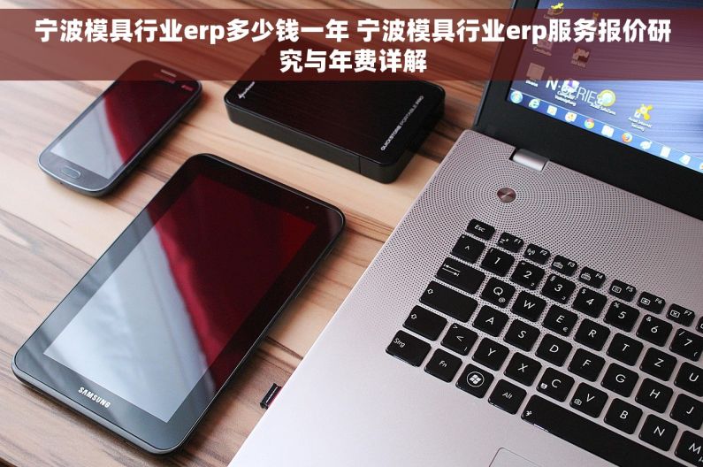 宁波模具行业erp多少钱一年 宁波模具行业erp服务报价研究与年费详解