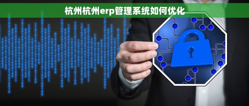 杭州杭州erp管理系统如何优化