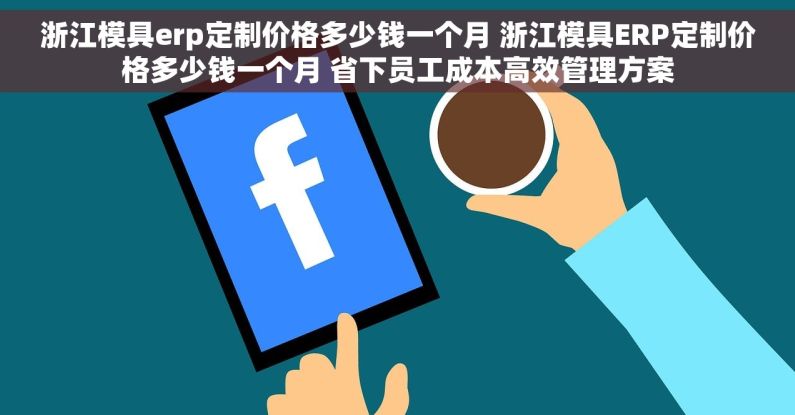 浙江模具erp定制价格多少钱一个月 浙江模具ERP定制价格多少钱一个月 省下员工成本高效管理方案