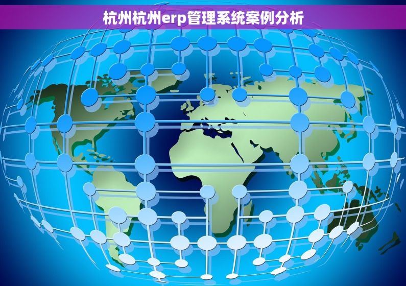 杭州杭州erp管理系统案例分析