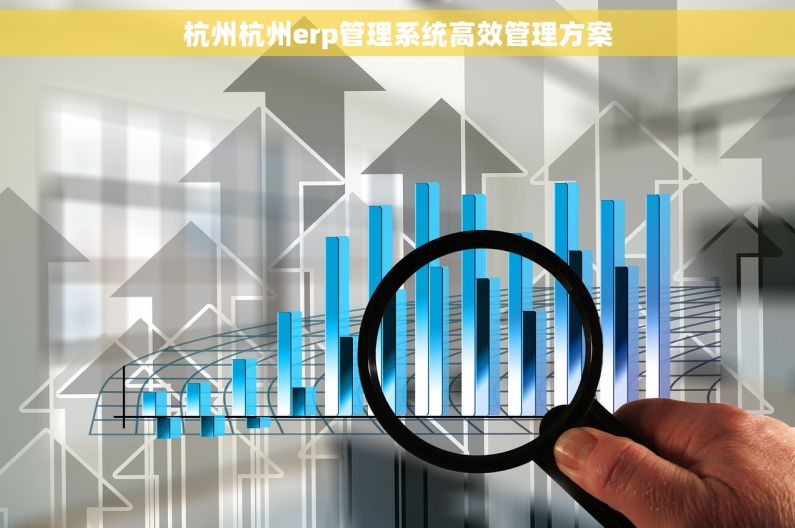 杭州杭州erp管理系统高效管理方案