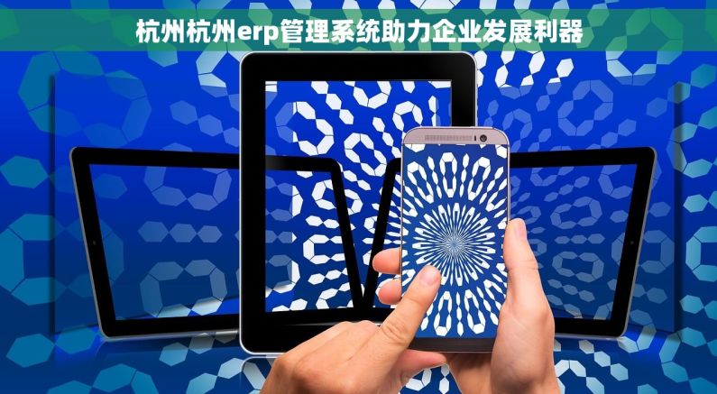 杭州杭州erp管理系统助力企业发展利器