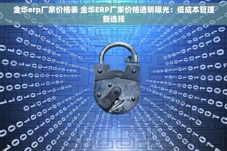 金华erp厂家价格表 金华ERP厂家价格透明曝光：低成本管理新选择