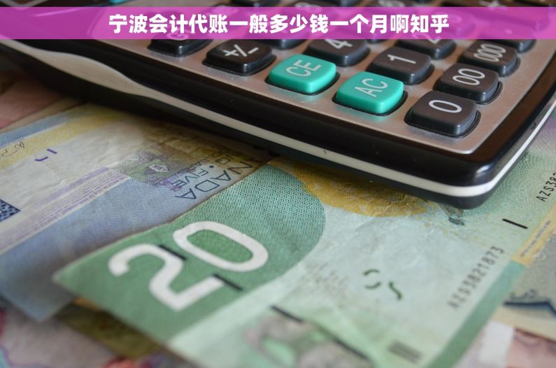 宁波会计代账一般多少钱一个月啊知乎
