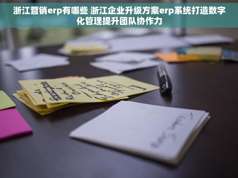 浙江营销erp有哪些 浙江企业升级方案erp系统打造数字化管理提升团队协作力
