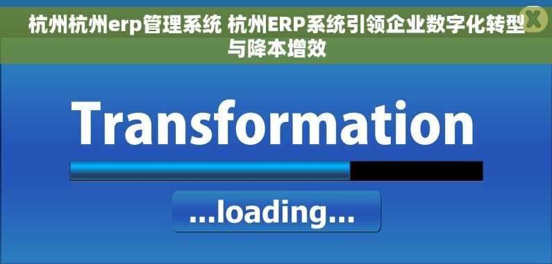 杭州杭州erp管理系统 杭州ERP系统引领企业数字化转型与降本增效