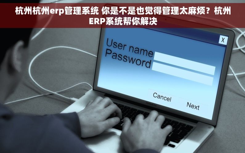 杭州杭州erp管理系统 你是不是也觉得管理太麻烦？杭州ERP系统帮你解决