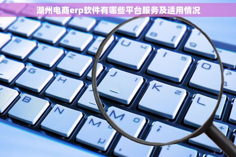湖州电商erp软件有哪些平台服务及适用情况