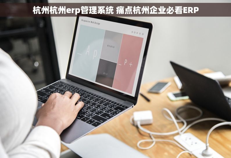 杭州杭州erp管理系统 痛点杭州企业必看ERP