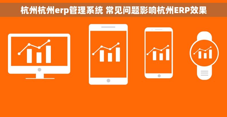 杭州杭州erp管理系统 常见问题影响杭州ERP效果