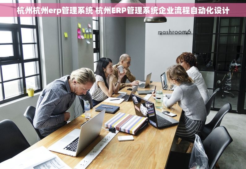杭州杭州erp管理系统 杭州ERP管理系统企业流程自动化设计