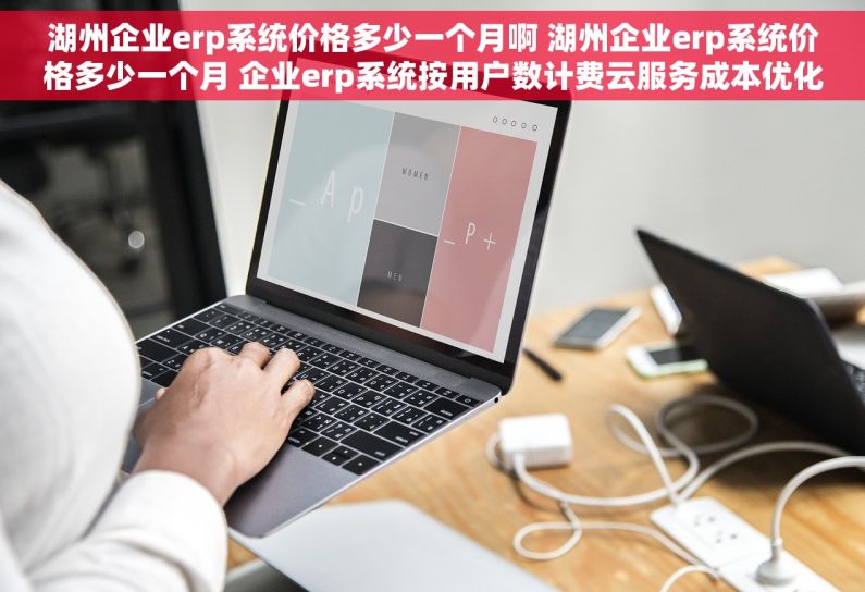 湖州企业erp系统价格多少一个月啊 湖州企业erp系统价格多少一个月 企业erp系统按用户数计费云服务成本优化方案