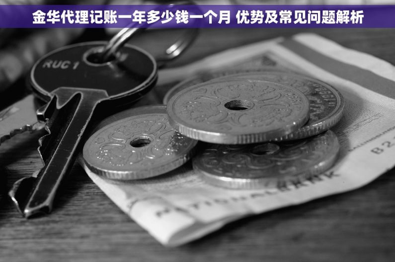 金华代理记账一年多少钱一个月 优势及常见问题解析