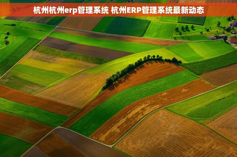 杭州杭州erp管理系统 杭州ERP管理系统最新动态