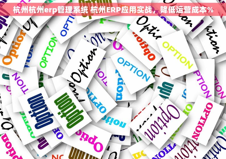 杭州杭州erp管理系统 杭州ERP应用实战，降低运营成本%