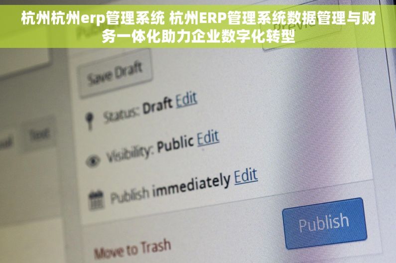 杭州杭州erp管理系统 杭州ERP管理系统数据管理与财务一体化助力企业数字化转型