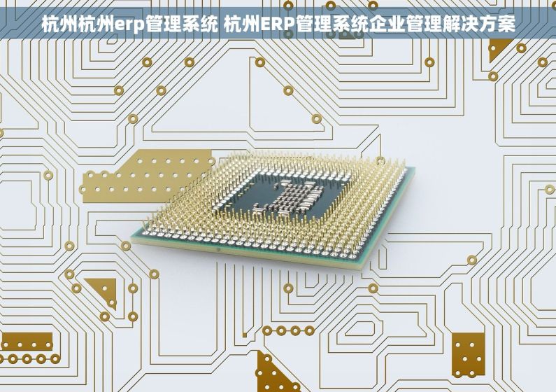 杭州杭州erp管理系统 杭州ERP管理系统企业管理解决方案