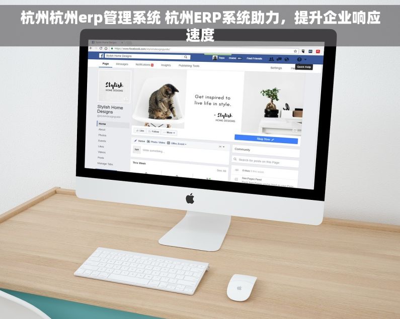 杭州杭州erp管理系统 杭州ERP系统助力，提升企业响应速度