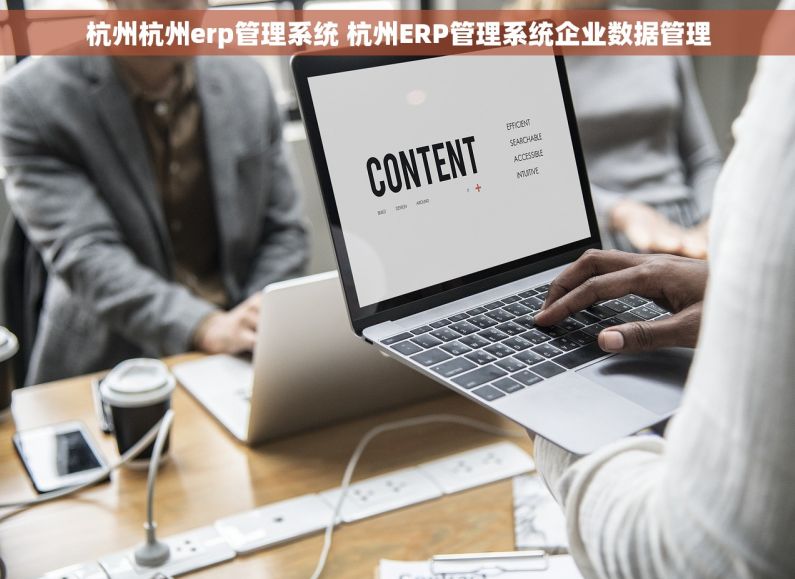 杭州杭州erp管理系统 杭州ERP管理系统企业数据管理