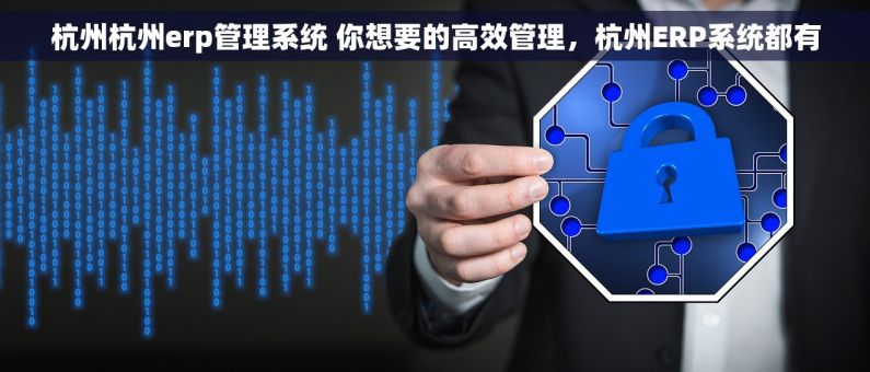 杭州杭州erp管理系统 你想要的高效管理，杭州ERP系统都有