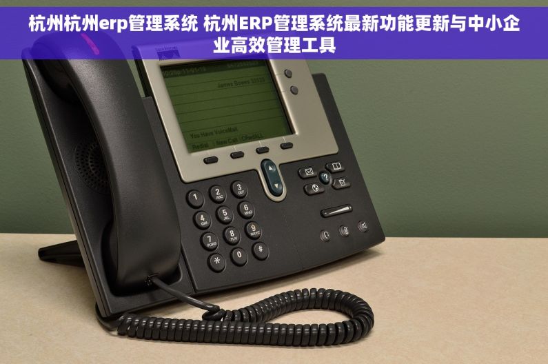 杭州杭州erp管理系统 杭州ERP管理系统最新功能更新与中小企业高效管理工具