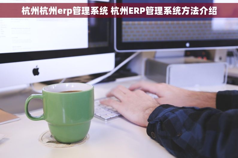 杭州杭州erp管理系统 杭州ERP管理系统方法介绍