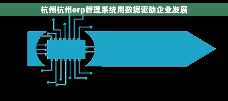 杭州杭州erp管理系统用数据驱动企业发展