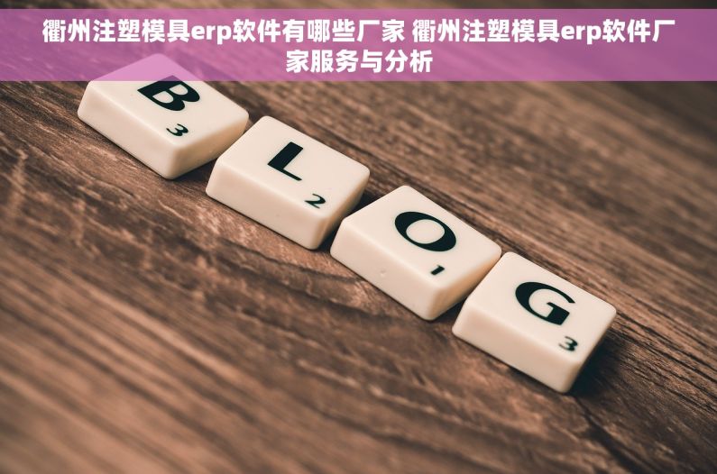 衢州注塑模具erp软件有哪些厂家 衢州注塑模具erp软件厂家服务与分析