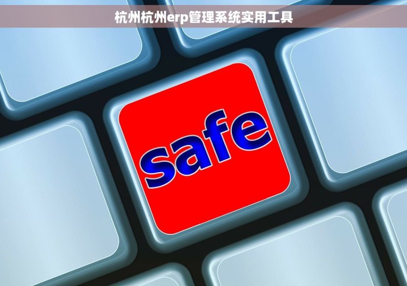 杭州杭州erp管理系统实用工具