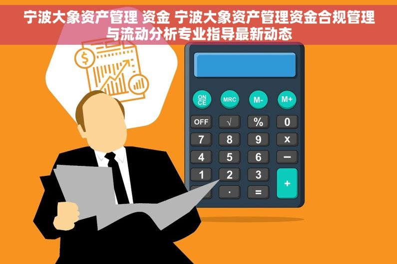 宁波大象资产管理 资金 宁波大象资产管理资金合规管理与流动分析专业指导最新动态