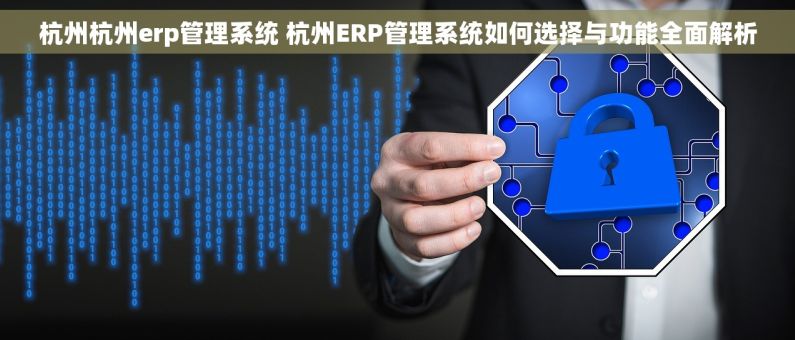 杭州杭州erp管理系统 杭州ERP管理系统如何选择与功能全面解析