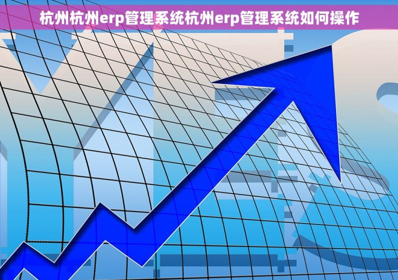 杭州杭州erp管理系统杭州erp管理系统如何操作