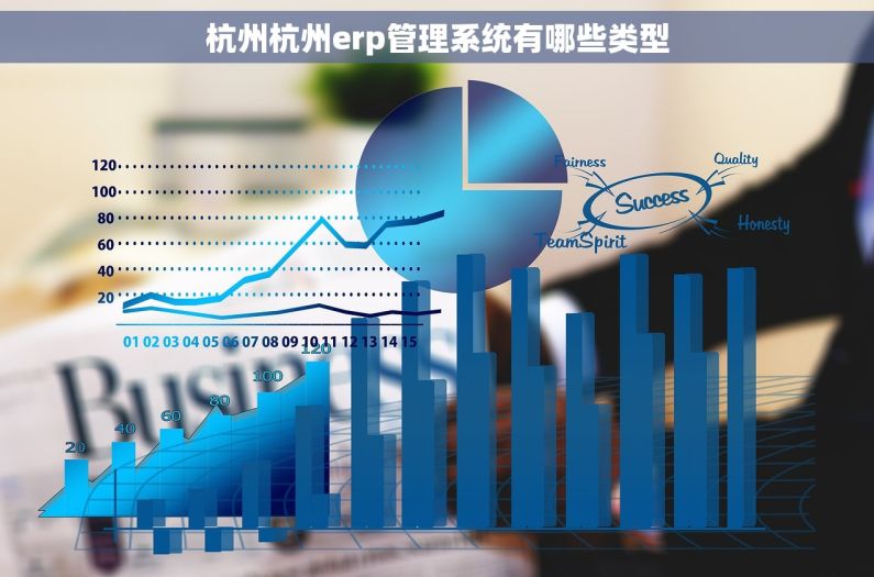 杭州杭州erp管理系统有哪些类型